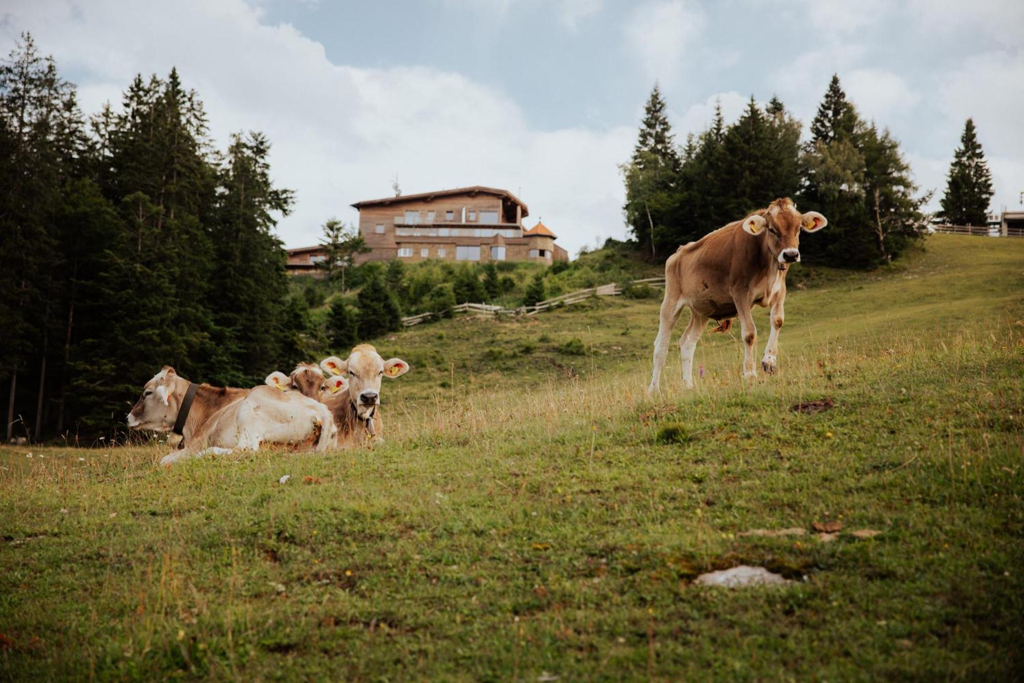 Chalet G12 - Mountain Luxury Apartments Seefeld in Tirol Eksteriør bilde